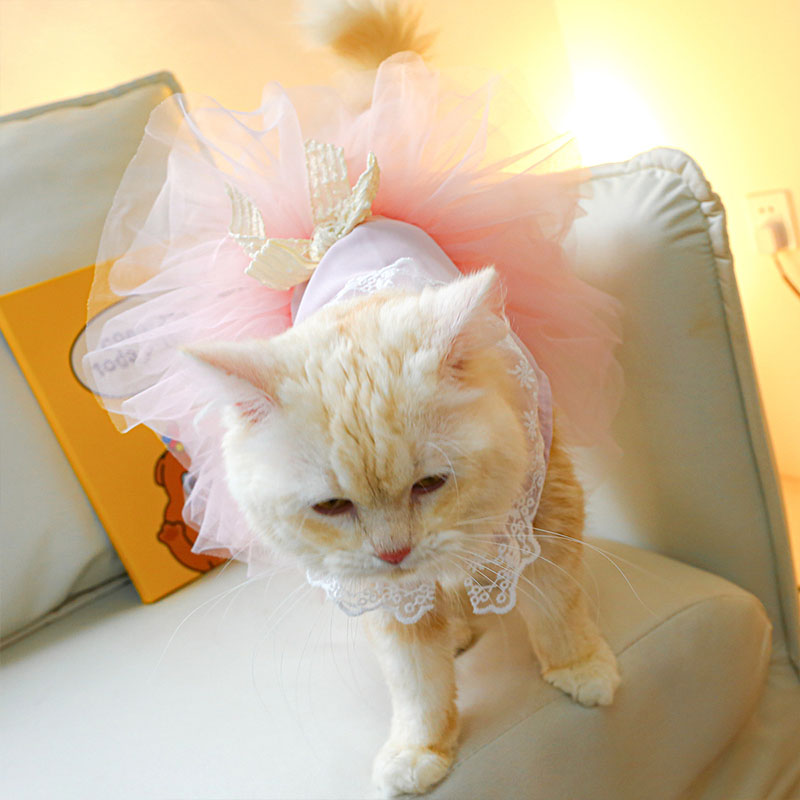ペットウェア ペット用品 犬 猫 犬の服 洋服 お散歩 スカート かわいい お出かけ おしゃれ ドレス オールインワン 部屋着 寝間着 小型犬 パンツ 安い 春秋 
