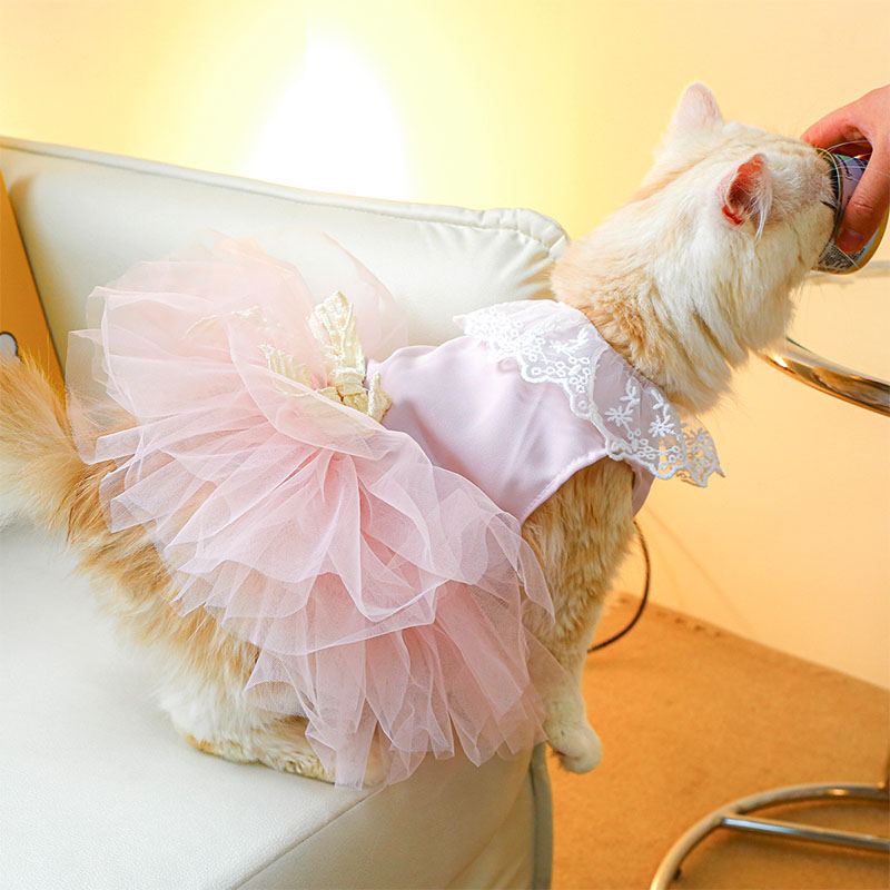ペットウェア ペット用品 犬 猫 犬の服 洋服 お散歩 スカート かわいい お出かけ おしゃれ ドレス オールインワン 部屋着 寝間着 小型犬 パンツ 安い 春秋 