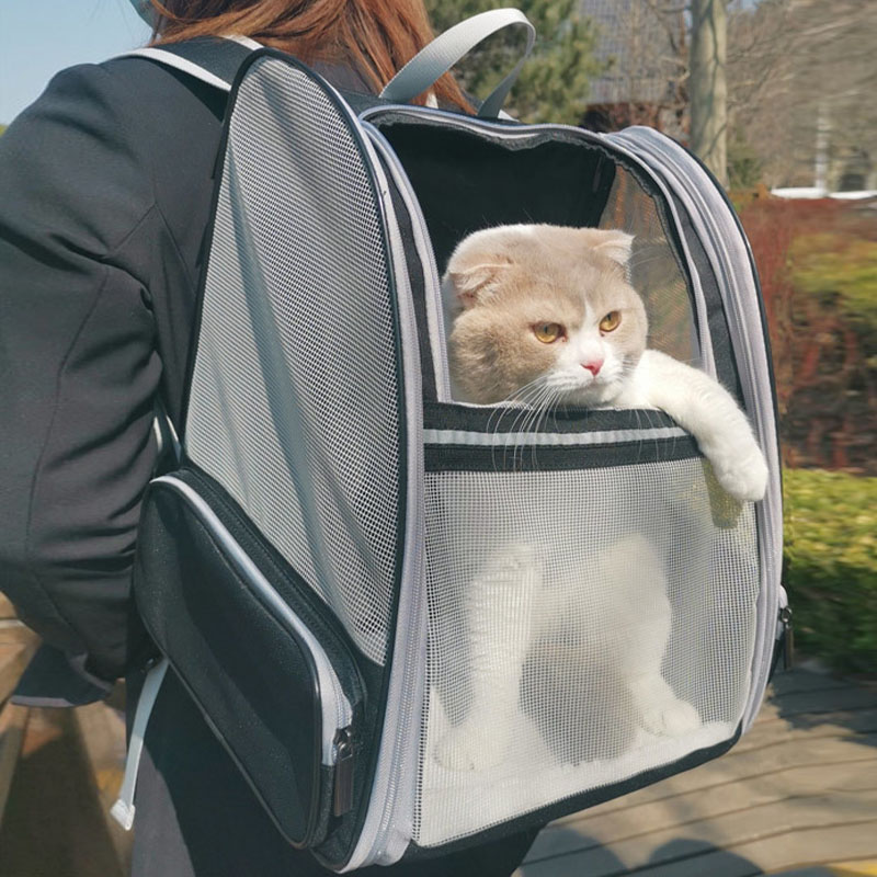 ペットキャリーバッグ リュックバッグ 軽量 猫 犬 ウサギ 持ち運び ペット用品 小型犬 ケース 小型 キャンプ 犬用 外出 旅行 お出かけ かわいい 通院 
