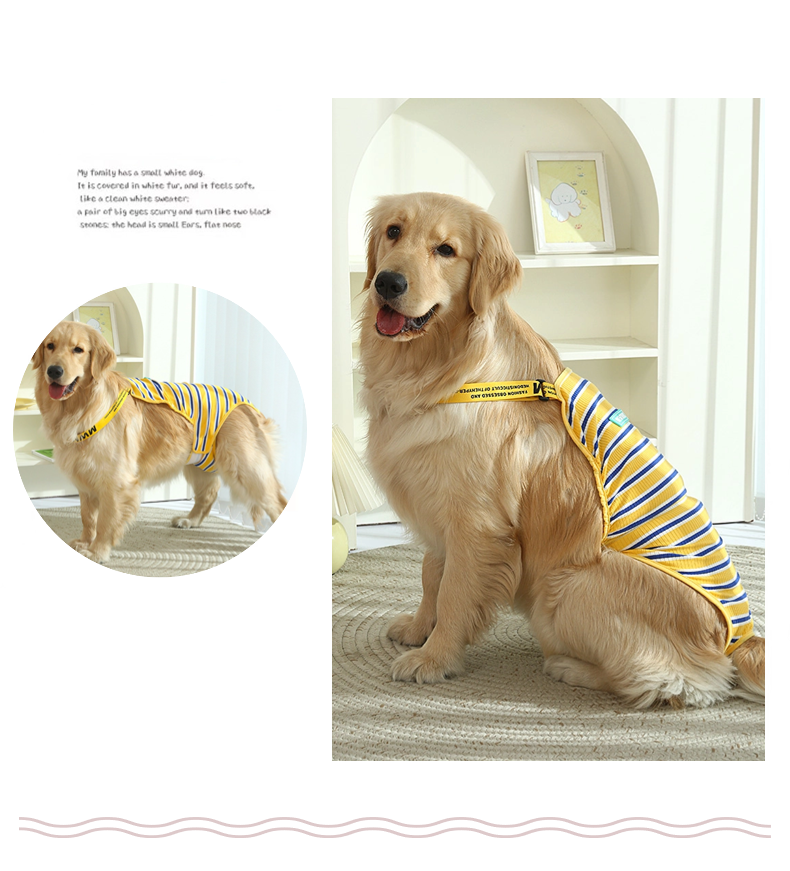 中大型犬用オムツカバー 犬用生理パンツ サニタリーパンツ マナーウェア ドッグウェア 犬服 サスペンダー付 介護用 マーキング防止 おむつカバー しつけ用品 