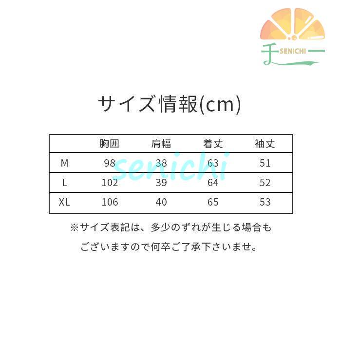 レディース トップス ブラウス シャツ 刺繍ブラウス 長袖 秋物 カジュアル ナチュラル 通勤 通勤着 秋 秋服 OL 晩夏 春物 アエスニック 