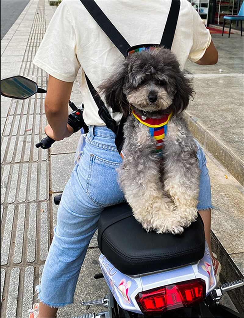 ペットバッグ 猫 小型犬 抱っこバッグ リュック型 ペットスリング お出かけ用 通気 飛ぶ防止 猫兼用 キャリーバッグ 中型 小型犬 両手解放 