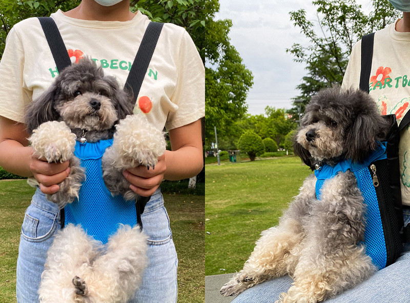 ペットバッグ 猫 小型犬 抱っこバッグ リュック型 ペットスリング お出かけ用 通気 飛ぶ防止 猫兼用 キャリーバッグ 中型 小型犬 両手解放 