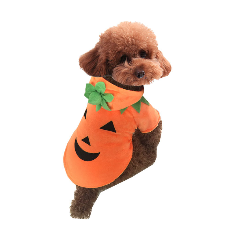 犬 服 秋冬 パンプキン トイプードル チワワ おもしろ ハロウィンヒーローズ 服 着せやすい 