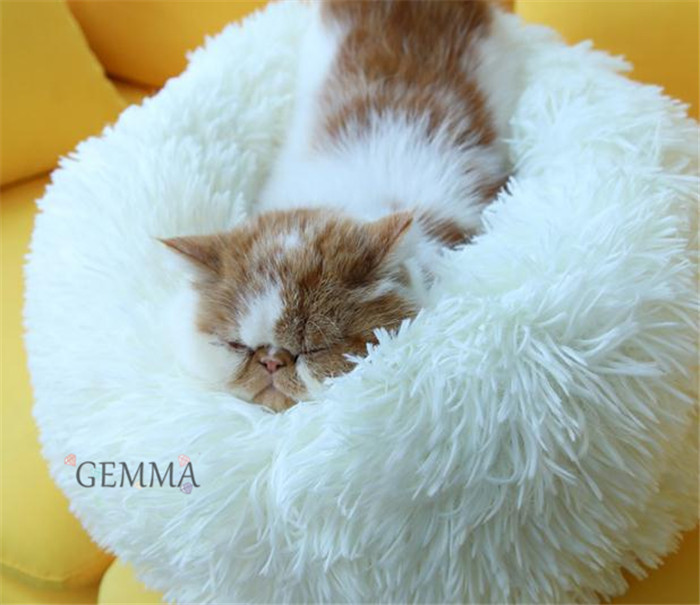 送料無料 ペットベッド 犬 ふわふわ もこもこ 猫ベッド 洗える 小型犬 ペット用品 中型犬 犬ベッド 滑り止め付き 猫用 ペットクッション 可愛い 