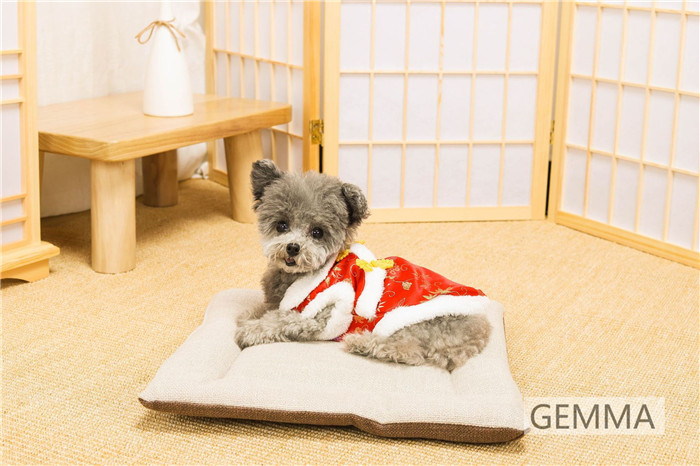 犬服 チャイナ風 レッド ドッグウェア 可愛い 小型犬 犬の服 猫服 暖かい いぬ 春節 ペットウェア 