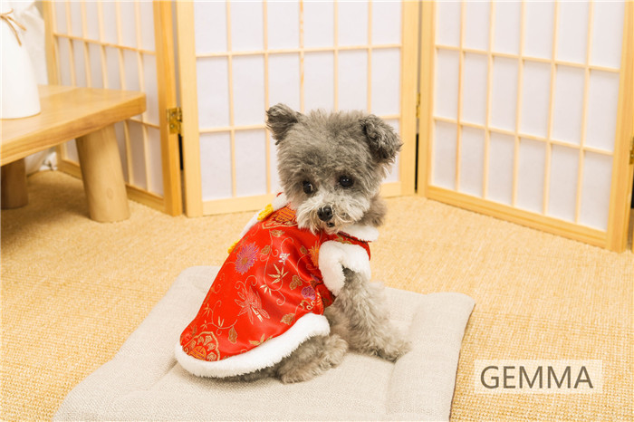 犬服 チャイナ風 レッド ドッグウェア 可愛い 小型犬 犬の服 猫服 暖かい いぬ 春節 ペットウェア 