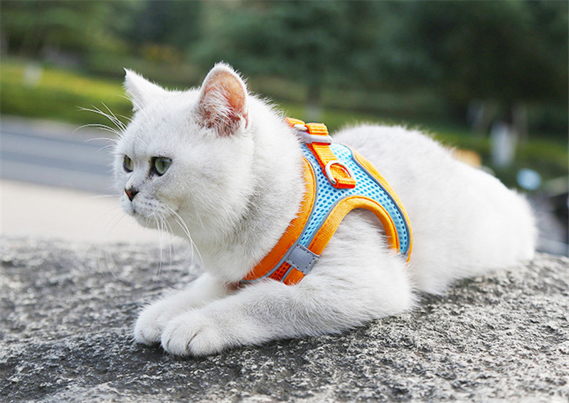 犬 ハーネス 犬用 胴輪 ソフトパッド 簡単装着 超大型犬 小型犬 快適 スポーツハーネス 大型犬 脱げない 