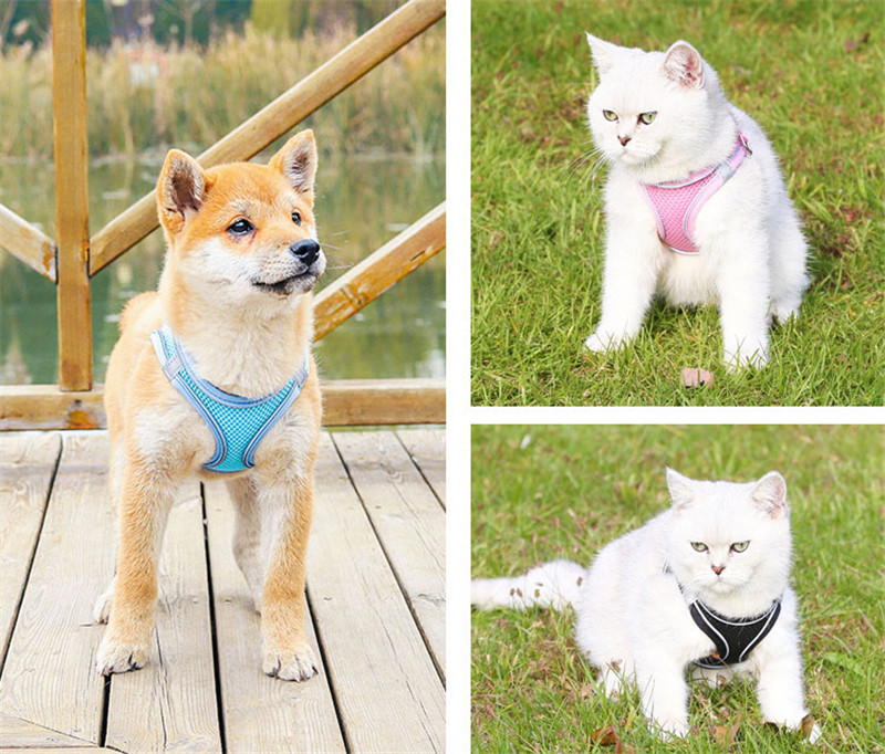 犬 ハーネス 犬用 胴輪 ソフトパッド 簡単装着 超大型犬 小型犬 快適 スポーツハーネス 大型犬 脱げない 