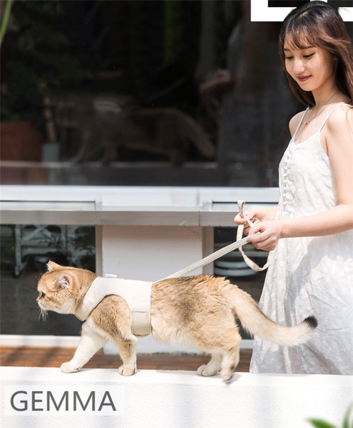 猫用ハーネス リード付 ベスト式 キャットハーネス 牽引ロープ 首輪 着脱簡単 お散歩グッズ ネコ用品 ペットグッズ 快適 お出かけ 散歩 胴輪 