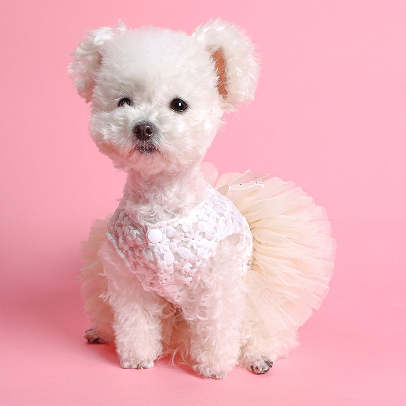 ペットウェア ペット用品 犬 猫 犬の服 洋服 小型犬 部屋着 寝間着 かわいい 安い ドレス スカート おしゃれ お出かけ パンツ オールインワン お散歩 春秋 