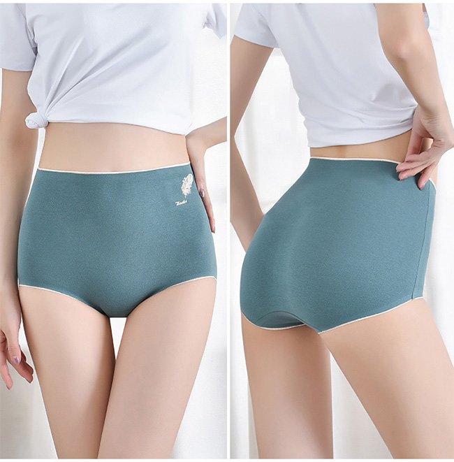 先着10名まで200円OFF ショーツ レディース シームレスショーツ 下着 女性用 パンツ 無地 ランジェプレーンショーツ パンティー 綿 ハイウエスト 