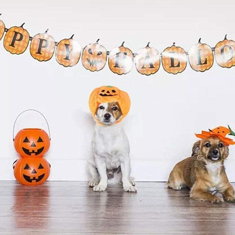 帽子 ハロウィン ペット 猫 パンプキン パーティ 小道具 