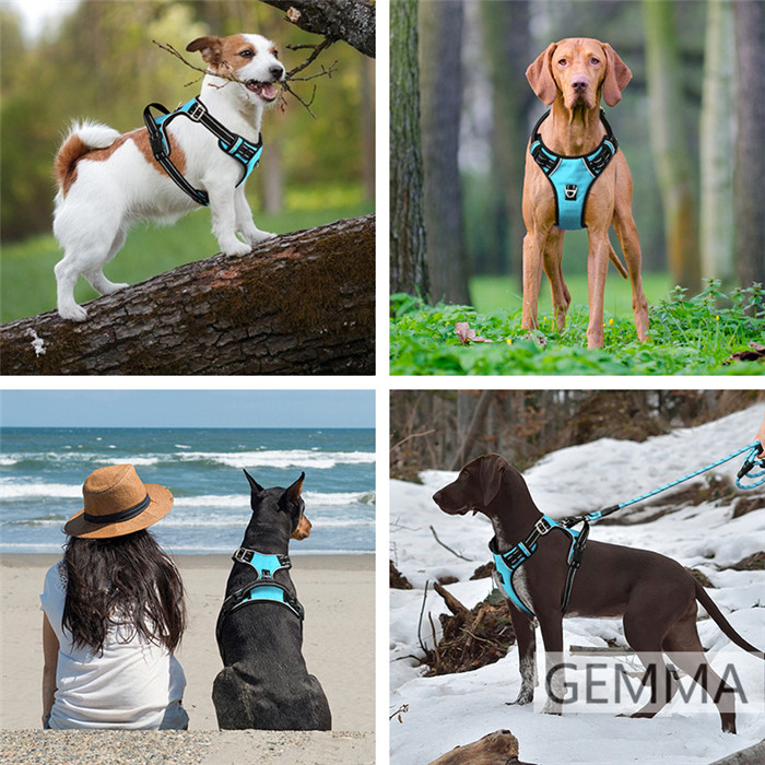 リード ベスト式 ２点セット 犬のリード ペット用リード 大型犬 丈夫 出かけ おしゃれ 防爆 ペット 散歩 訓練 反射 撥水 トレーニング 中型犬 