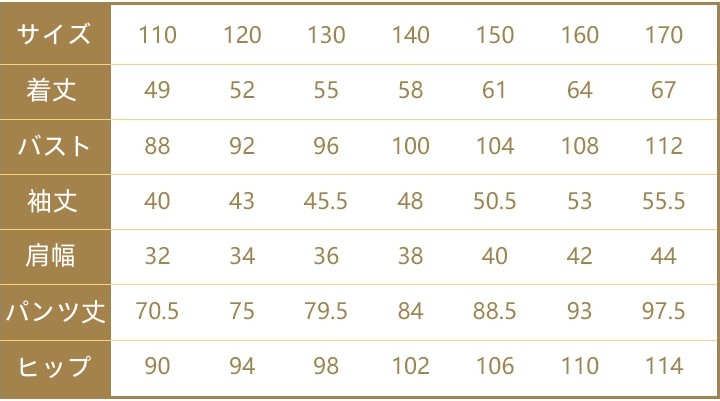 キッズ ダンス 衣装 セットアップ ジャケット ヒップホップ 韓国 ジュニア 青 子供 紫 K-POP HIPHOP 男の子 女の子 ダンスウェア カーゴパンツ 長袖 ジャズ 