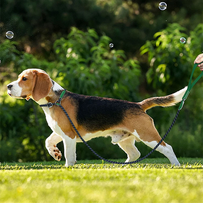 首輪一体型 ド 犬用 犬ド ロープ 調節可能 訓練ド 引っ張り防止ド 反射素材 犬用品 スリップド 長さ1.8ｍ ペットグッズ しつけ用首輪 