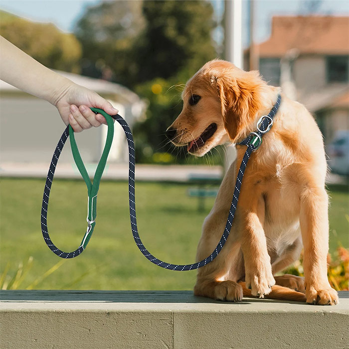 首輪一体型 ド 犬用 犬ド ロープ 調節可能 訓練ド 引っ張り防止ド 反射素材 犬用品 スリップド 長さ1.8ｍ ペットグッズ しつけ用首輪 