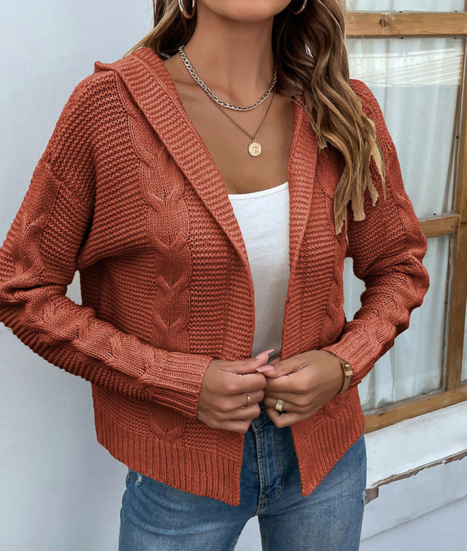 ニット カーディガン レディース 長袖 フード付き トップス ケーブルニット コート 秋 送料無料 羽織 冬 カジュアル ショート丈 アウター 前開き キレイめ 