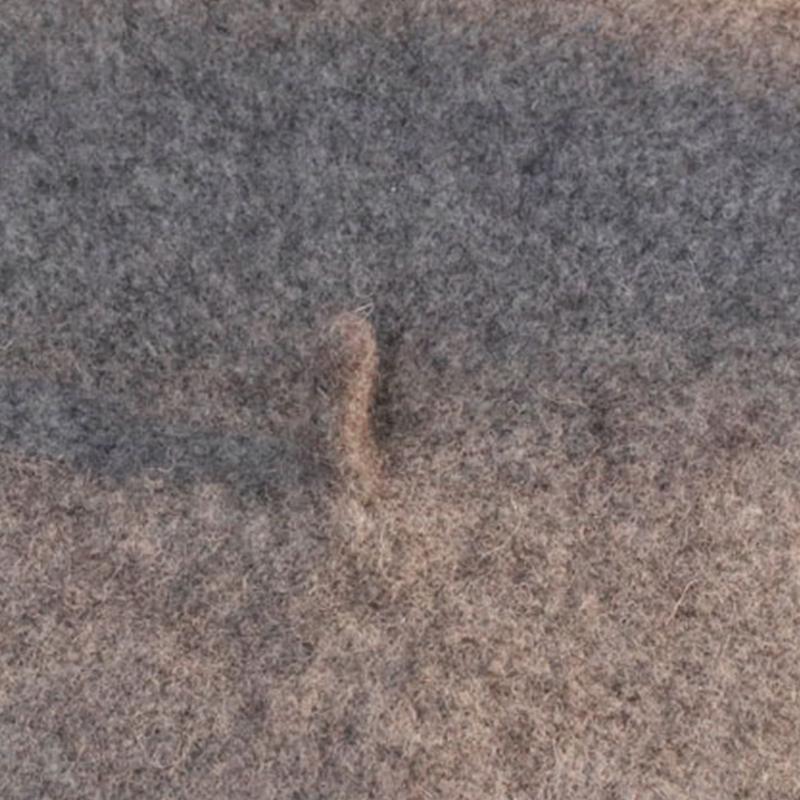 帽子 ベレー帽 レディース 秋冬 。 かわいい シンプル 小物 締め付けゼロ ベーシック おしゃれ ゆったり 秋冬 定番 冬 あったか 大きいサイズ 秋 ベレー 