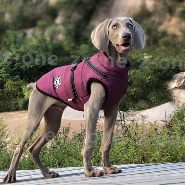 ドッグウェア 新作 犬服 ペット服 防寒 あったか 抜け毛防止 モコモコ 厚手 猫 おしゃれ かわいい ペット用品 おしゃれ 暖かい 犬 秋冬 着脱簡単 可愛い お散歩 