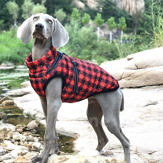 ドッグウェア 新作 犬服 ペット服 防寒 あったか 抜け毛防止 モコモコ 厚手 猫 おしゃれ かわいい ペット用品 おしゃれ 暖かい 犬 秋冬 着脱簡単 可愛い お散歩 