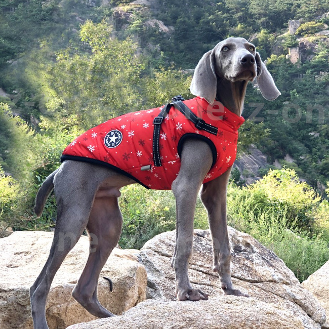 ドッグウェア 新作 犬服 ペット服 防寒 あったか 抜け毛防止 モコモコ 厚手 猫 おしゃれ かわいい ペット用品 おしゃれ 暖かい 犬 秋冬 着脱簡単 可愛い お散歩 
